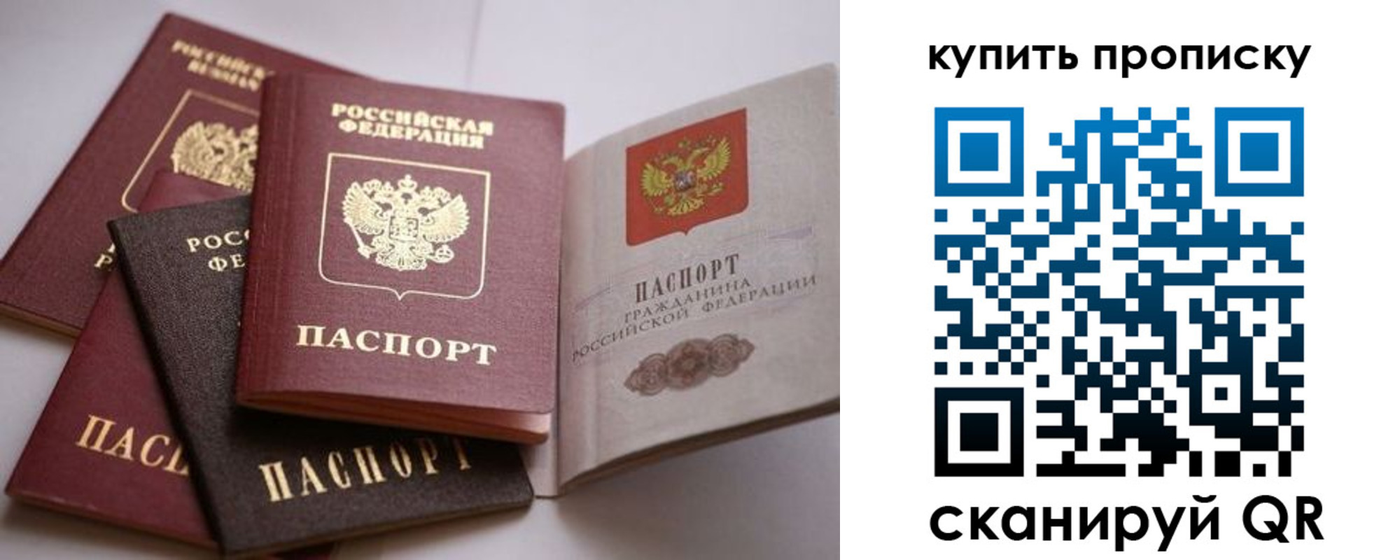 прописка в Балашихе